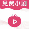 高清乱码在线看最新版